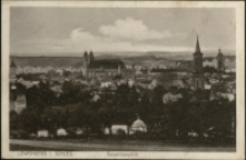 L&ouml;wenberg i. Schles. Gesamtansicht [Dokument ikonograficzny]