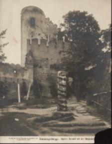 Riesengebirge. Kynast, Burghof mit Staupsäule [Dokument ikonograficzny]