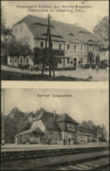 Siebeneichen, Kr. Löwenberg, Schl. [Dokument ikonograficzny]