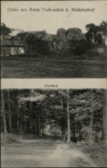 Gruss aus Ruine Talkenstein b. Welkersdorf [Dokument ikonograficzny]