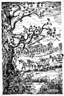 Wozy [Dokument ikonograficzny]