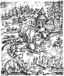 Niedźwiedź [Dokument ikonograficzny]