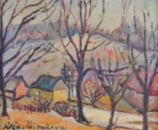 Wieś Wojków [Dokument ikonograficzny]