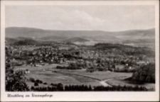 Jelenia Góra - panorama miasta [Dokument ikonograficzny]