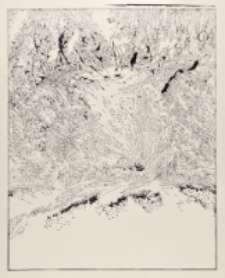 Góra II [Dokument ikonograficzny]