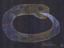 [Bez tytułu] [Dokument ikonograficzny]