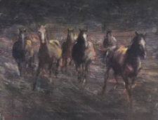 Stado [Dokument ikonograficzny]