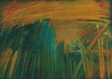 Trawy [Dokument ikonograficzny]