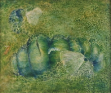 Z cyklu Zapiski przyrodnicze. Matecznik [Dokument ikonograficzny]