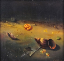 Odpływ [Dokument ikonograficzny]