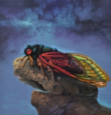 Cykada [Dokument ikonograficzny]