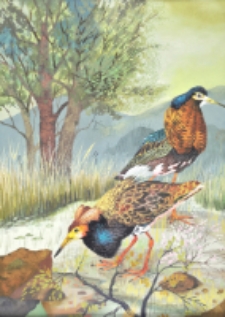 [Bez tytułu] [Dokument ikonograficzny]