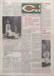 Wspólny cel : gazeta samorządu robotniczego Celwiskozy, 1982, nr 24 (864)