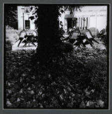 [Bez tytułu] [Dokument ikonograficzny]