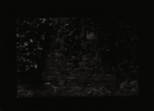 [Bez tytułu] [Dokument ikonograficzny]