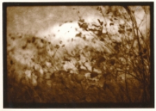 Z cyklu „Fotografia nieortodoksyjna” : 1/10 [Dokument ikonograficzny]