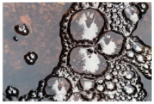 Próba autoportretu [Dokument ikonograficzny]