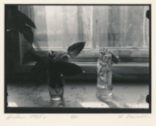 Wrocław 1985 : 1/10 [Dokument ikonograficzny]