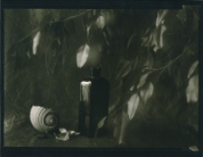 [Bez tytułu] [Dokument ikonograficzny]