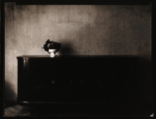 Martwa natura [Dokument ikonograficzny]