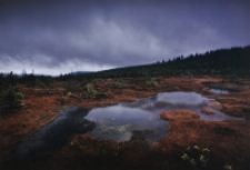 Izerskie klimaty [Dokument ikonograficzny]