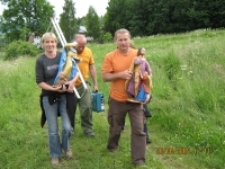 Rzeźby w drodze do kościoła 2 [Dokument ikonograficzny]