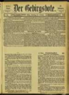 Der Gebirgsbote, 1902, nr 81