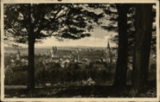 Löwenberg i. Schles. - Gesamtansicht [Dokument ikonograficzny]