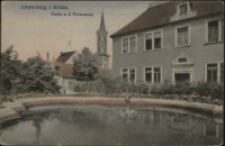 Löwenberg i. Schles. Partie a. d. Promenade [Dokument ikonograficzny]