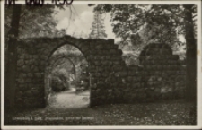 Löwenberg i. Schl. Promenade, Ruine der Bastion [Dokument ikonograficzny]