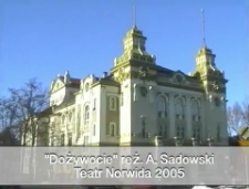 Dożywocie [zapis spektaklu] [Film]