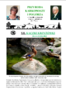 Kaczki krzyżówki [Dokument elektroniczny]