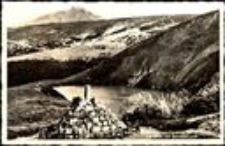 Pomnik ku czci Theodora Donata [Dokument ikonograficzny]