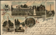 Gruss a. d. Buchholz b/ Löwenberg i/ Schl. [Dokument ikonograficzny]