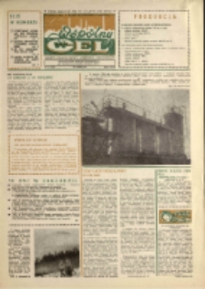 Wspólny cel : gazeta załogi ZWCH "Chemitex-Celwiskoza", 1989, nr 9 (1090)