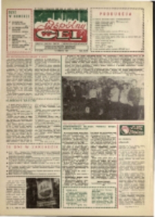Wspólny cel : gazeta załogi ZWCH "Chemitex-Celwiskoza", 1989, nr 10 (1091)