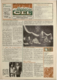 Wspólny cel : gazeta załogi ZWCH "Chemitex-Celwiskoza", 1989, nr 13 (1094)