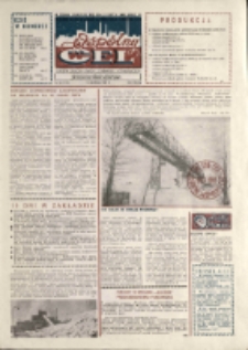 Wspólny cel : gazeta załogi ZWCH "Chemitex-Celwiskoza", 1989, nr 34 (1115)