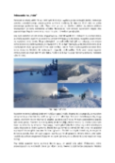 Polowanie na „Halo” [Dokument elektroniczny]