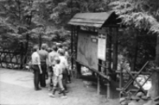 Harcerze na szlaku [Dokument ikonograficzny]