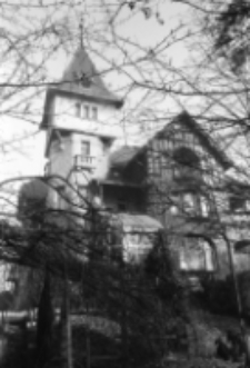 [Villa "Max Erfurt"] (fot. 1) [Dokument ikonograficzny]