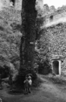 [Jelenia Góra - zamek Chojnik - 1954] (fot. 6) [Dokument ikonograficzny]