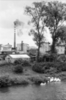 Jelenia Góra - rzeka Kamienna (fot. 1) [Dokument ikonograficzny]