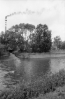 Jelenia Góra - rzeka Kamienna (fot. 3) [Dokument ikonograficzny]