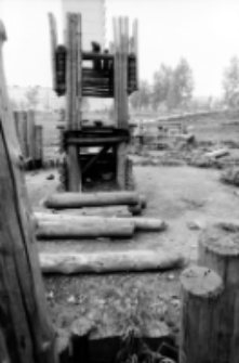 Jelenia Góra : ogród przy ul. Ogińskiego (fot. 3) [Dokument ikonograficzny]