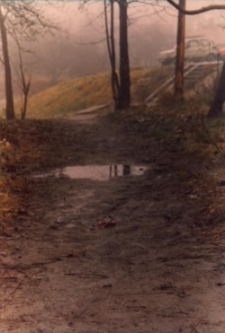 Osiedle Spółdzielni Mieszkaniowej Lokatorsko-Własnościowej w Trzebnicy przy ul. M. Skłodowskiej-Curie w Obornikach Śląskich, 1997 r. (fot. 3) [Dokument ikonograficzny]