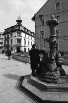 Fontanna w Cieplicach [Dokument ikonograficzny]