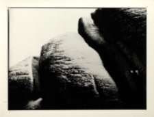 Karkonosze 2 [Dokument ikonograficzny]