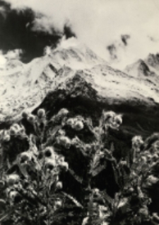 Kashmir Himalas [Dokument ikonograficzny]