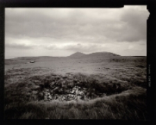 Krajobrazy wy-trawne [Dokument ikonograficzny]